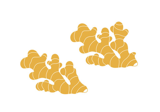 Ginger logo. Isolated ginger on white background