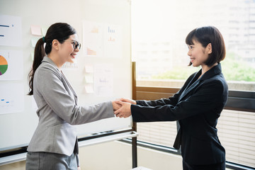 businesswoman sealing a deal with partner
