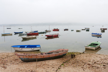 Viejas barcas atracadas en la orilla bajo la niebla