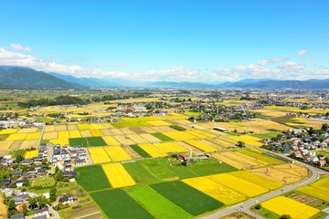 日本の秋の田園風景　空撮