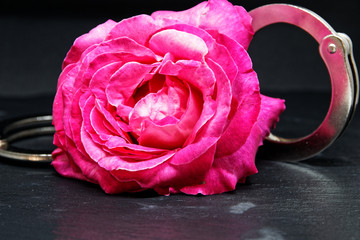Rose und Handschellen
