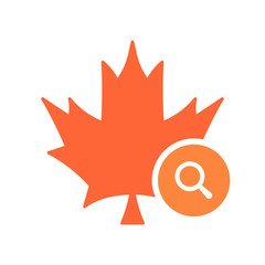 Maple leaf icon, Nature leaves icon with research sign. Maple leaf icon and explore, find, inspect symbol