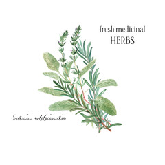Watercolor illustration. A bunch of fresh culinary and medicinal herbs and branches. Floral design element perfect for wedding invitations, greeting cards, blogs, prints, postcards, social media posts
