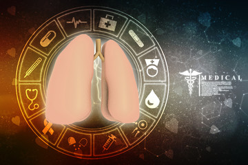 Healthy Human Lungs 3d illustration

