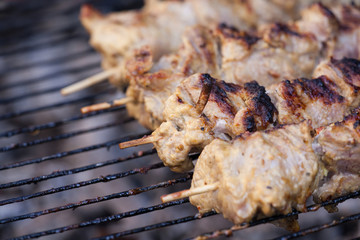 Kebab on metal skewers on grill. Appetizing shashlik closeup.
