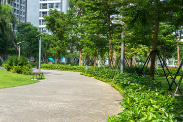 Urban walking road among green tree in modern apartment buildings in big city.