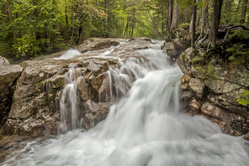 White Mountains, New Hampshire water fall on trail