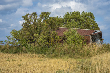 Obraz premium Old decayed shed on a field