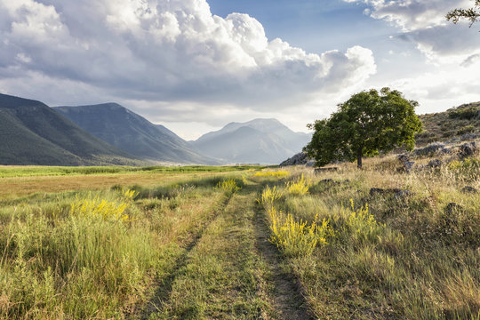 Stymfalia Bilder Durchsuchen 72 Archivfotos, und