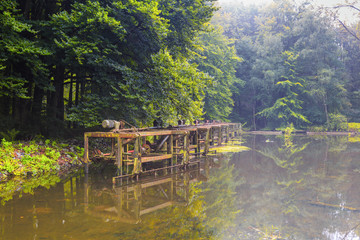 Watercourses with  remnants of hydraulic experimental installations in the Waterloopbos in the...