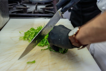 Gourmet, vegan, chef, preparing a vegetarian meal for the homeless, in Italian restaurant. Charity night in Europe, fundraising for local, social balance.
