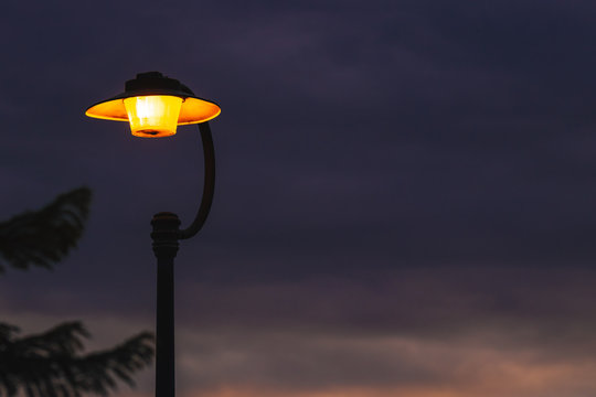 Street lamp in evening