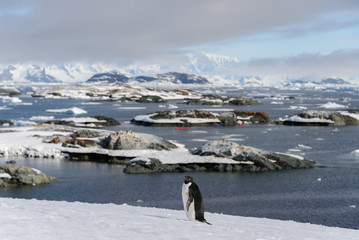 Antarctic landscape with mountains and islands