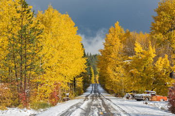 A snow covered road and old truck surrounded by fall color