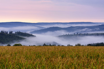morning foggy valley