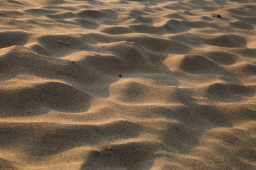 closeup of sand pattern of a beach in the summer