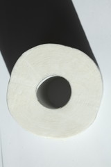 Toilettenpapierrolle