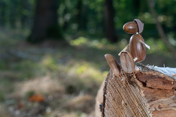 Eichelmännchen