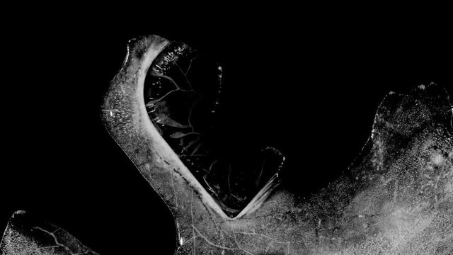 Cracking heart trapped in ice melting. Time lapse.