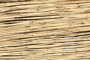 Braune Bambusrohre, Hintergrund