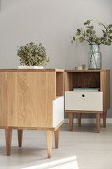 Close-up of a side of a cabinet and cabinet in the background with plants