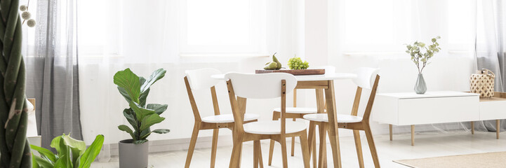 Green plants and fruit in a white dining room interior with scandinavian, wooden furniture and...