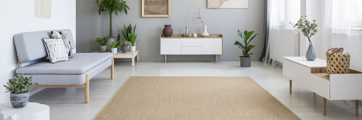 Panorama of a beige rug in the middle of a spacious living room interior with a modern, gray sofa...