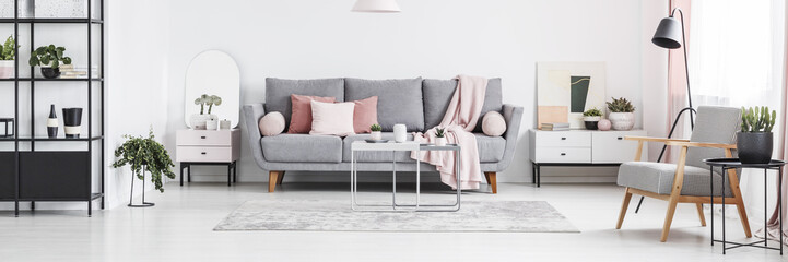 Real photo of white living room interior with grey sofa with cushions, fresh plants and cupboards...