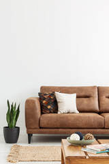 Plant next to leather settee with cushions in white apartment interior with wooden table. Real photo