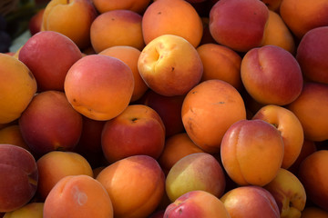 Fresh ripe red-orange apricots on the shelves of the market