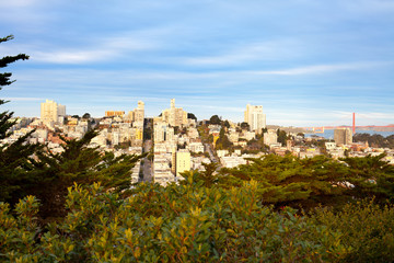 Russian Hill Neighborhood, San Francisco, California, USA