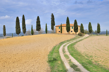 Farmhouse and Cypress trees near Pienza Tuscany Italy.