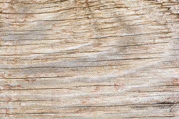 Fototapeta na wymiar Texture of old faded wood, close up