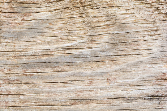Texture of old faded wood, close up