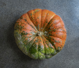 Orange and Green Pumpkin Top Shot