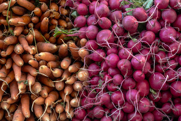 Radishes and Carrots in a New York City Farmers Market