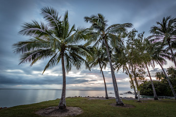 Sunrise over palm trees and ocean with cloudy sky