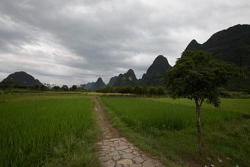 landscape in asia on a cloudy day