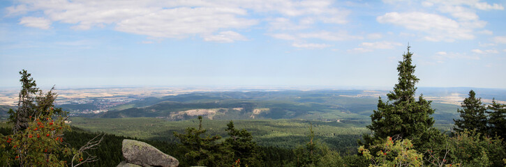 Landschaft im Harz, Felsen, Bäume