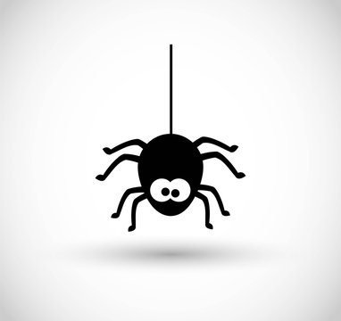 Spider vector icon 