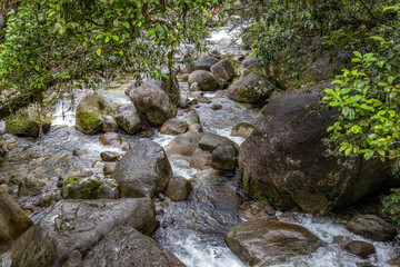 Naklejka na ściany i meble Scenic view of tropical rainforest