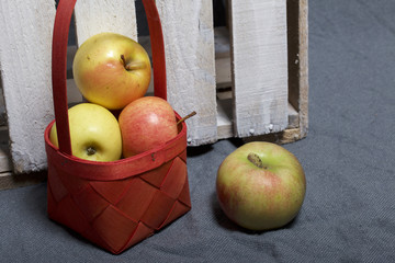 Ripe aromatic apples on a gray cloth. Nearby is a wooden box, knocked out of the boards.