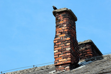 A bird on top of old brick smokestack