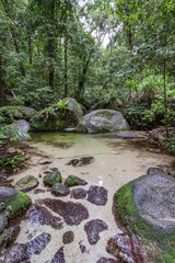 Tranquil view of tropical rainforest river and vegetation