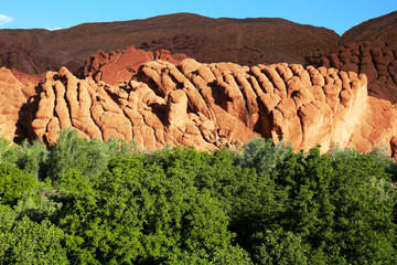 Monkey Fingers of Dades