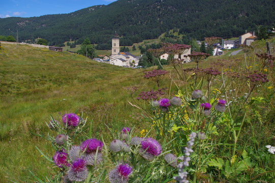 Village de montagne de Matemale des pyr&eacute;n&eacute;es avec clocher et fleurs