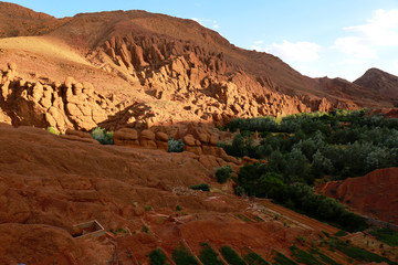 Monkey Figners of Dades