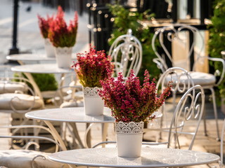 Roadside Table in Bratislava