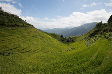 Obraz premium landscape in asia on a cloudy day