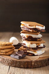 homemade marshmallow s'mores with chocolate on crackers